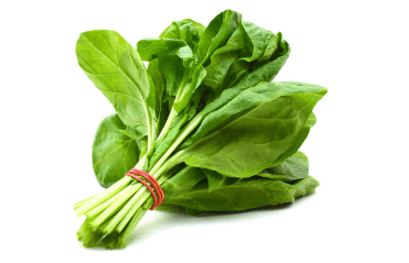 list of vegetables