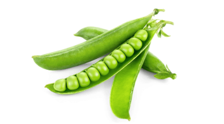 list of vegetables