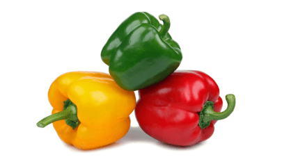 list of vegetables